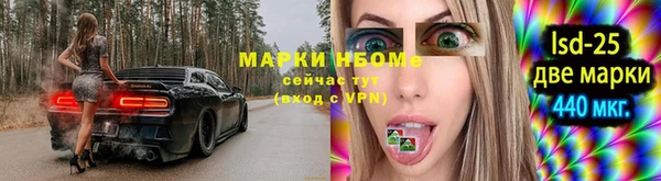 молекула духа Гусиноозёрск